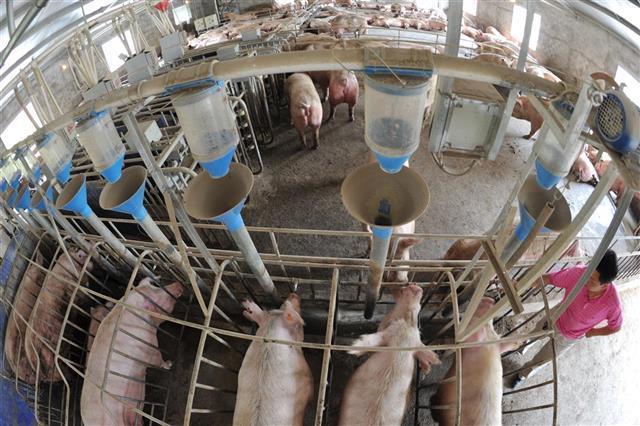 各有关部门要积极帮助生猪养殖场(户)与省内屠宰加工企业加强产销对接